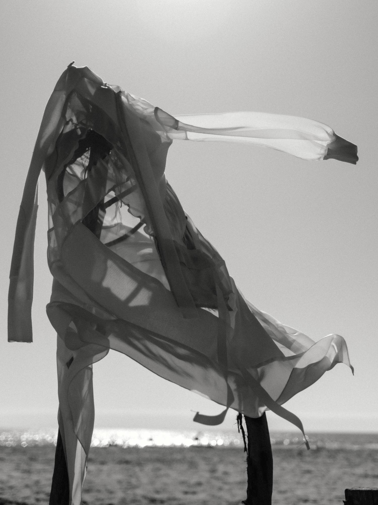 Clothing: Dress by Sacai. Photographer: Charlotte Lapalus. Stylist: Giulia Querenghi. Location: Camargue, France 