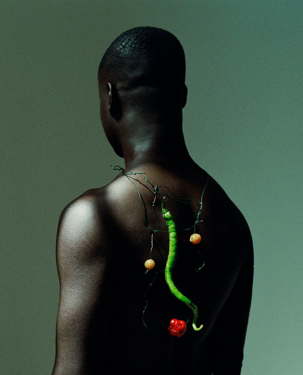 Fruits of Senegal by Jack Davison, Ibrahim Kamara, Thom Walker
