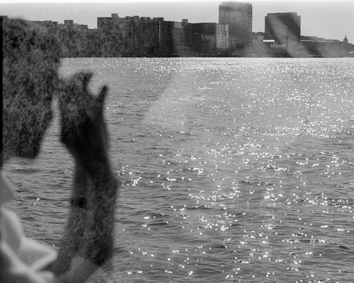 Minimalist Fashion Editorials